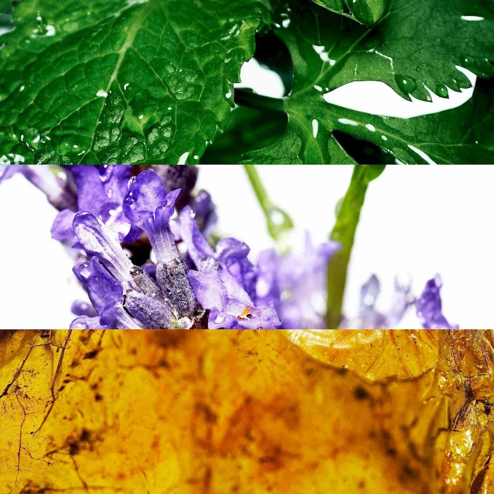 Davidoff Cool Water Pour Homme Deostick (70mL)