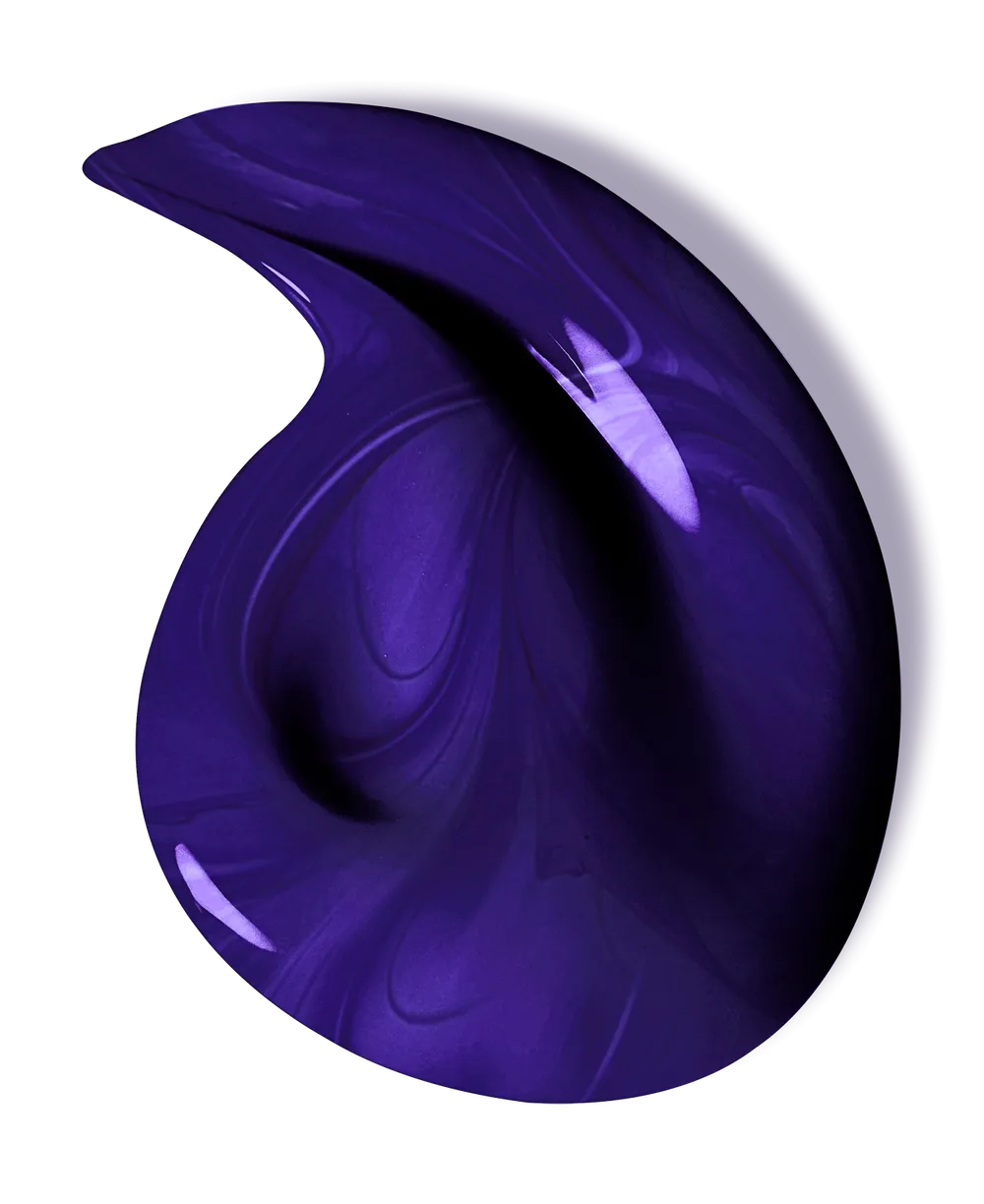 L'Oreal Paris Elvital Color Vive Purple Shampoo (200mL)