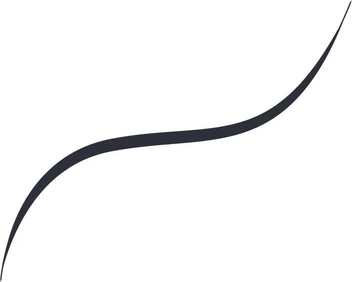 L'Oreal Paris Infaillible Grip Micro-Fine Liner (0,4g) Obsidian Black