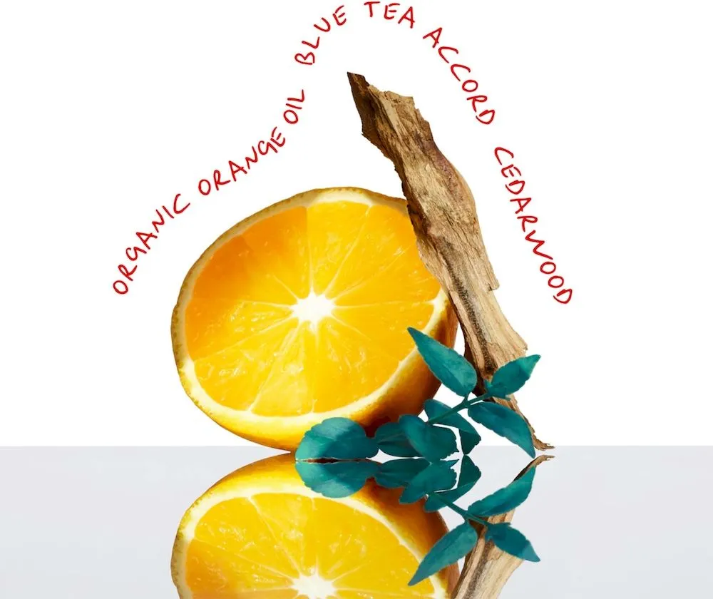 Calvin Klein CK Everyone EDT (50mL)