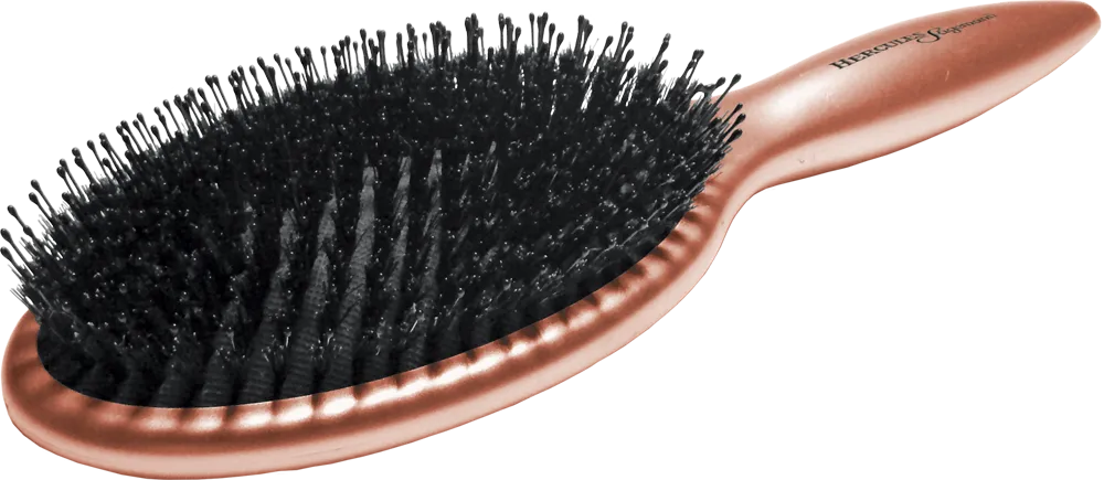 Hercules Sägemann Grooming Brush