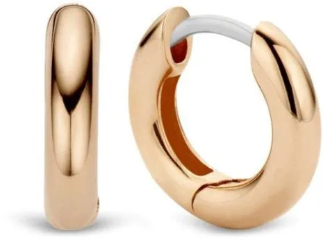 Ti Sento Milano Earrings 7210RS