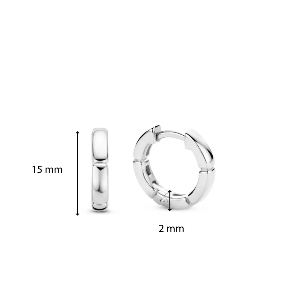 Ti Sento Milano Earrings 7889SI