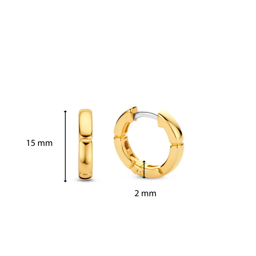 Ti Sento Milano Earrings 7889SY