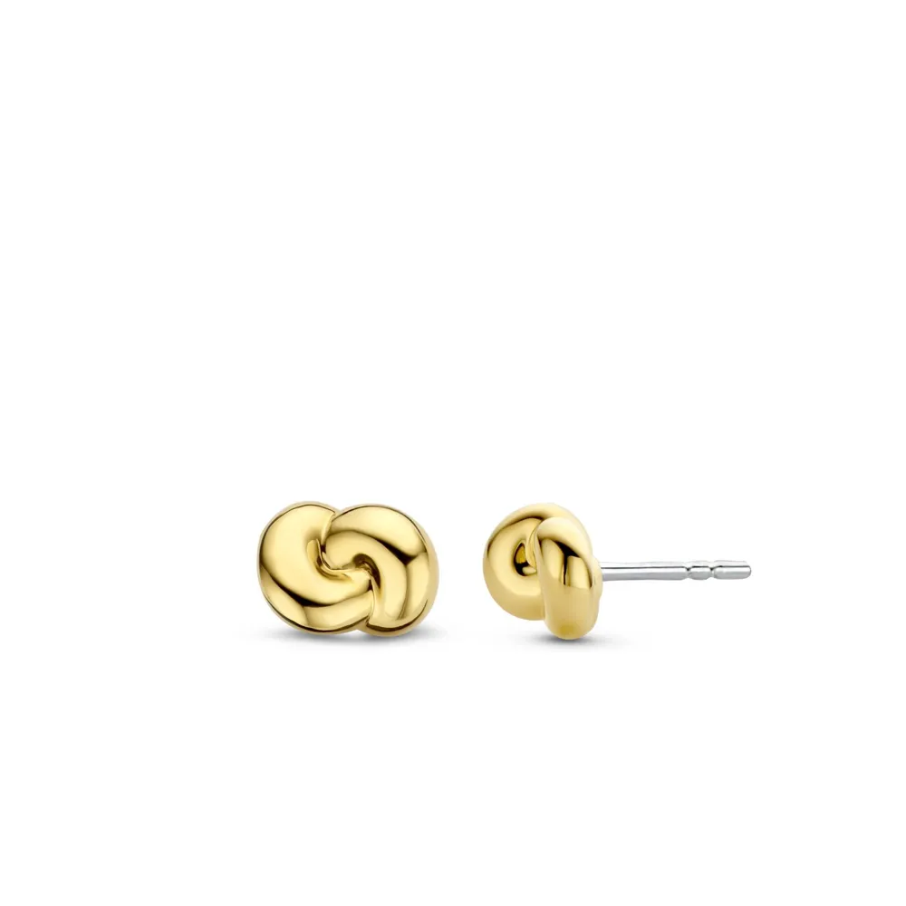 Ti Sento Milano Earrings 7896SY