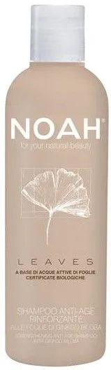 NOAH Leaves Strengthening Shampoo Ginkgo (250mL)