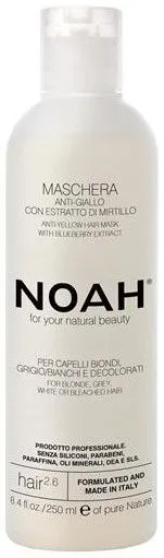 NOAH Anti-Yellow Hair Mask with Blueberry Extract (250mL)