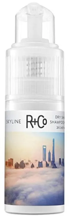 R+Co Skyline Volume Powder (28g)