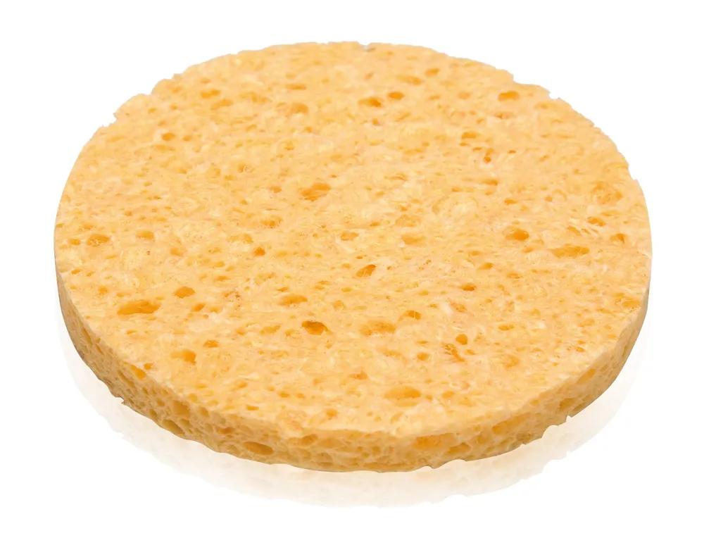 Donegal Sponge