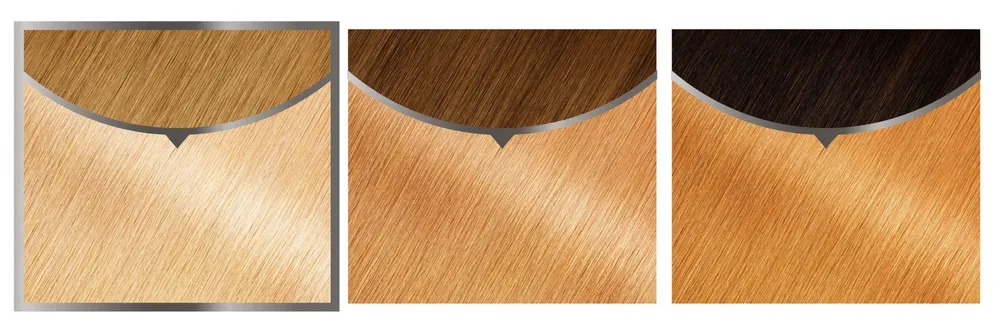 Garnier Olia Ammonia Free Permanent Bleach B+++