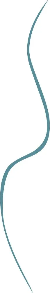 Bourjois Paris Slim Liner Waterproof (1mL) 03 Turquoise