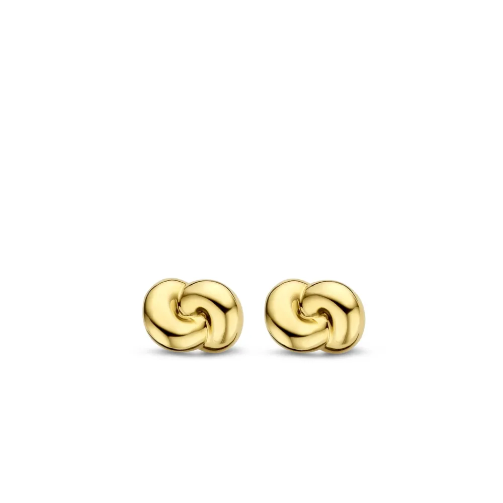 Ti Sento Milano Earrings 7896SY