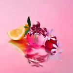 Nina Ricci Nina Illusion EDP (50mL)