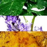 Davidoff Cool Water Pour Homme Deostick (70mL)