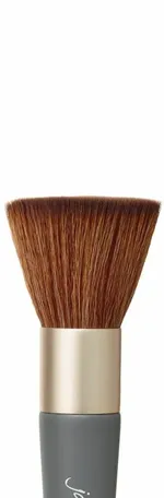 Jane Iredale The Handi Brush