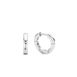 Ti Sento Milano Earrings 7889SI