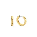 Ti Sento Milano Earrings 7889SY