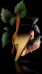 Carolina Herrera Bad Boy Extreme EDP (150mL)