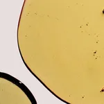 Matter of Fact Brightening + Firming Serum (30mL)