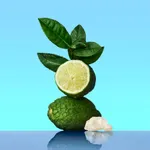 Calvin Klein CK One EDT (100mL)