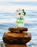 Marc Jacobs Daisy Wild EDP (30mL)