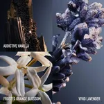 Paco Rabanne Phantom Intense EDP (50mL)