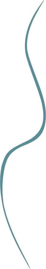 Bourjois Paris Slim Liner Waterproof (1mL) 03 Turquoise