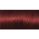 L'Oreal Paris Preference Permanent Hair Color P37 Dark Red