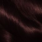 Garnier Olia Ammonia Free Permanent Hair Color 4.15