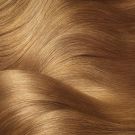 Garnier Olia Ammonia Free Permanent Hair Color 8.0