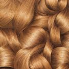 Garnier Olia Hair Colour 8.31 Golden Ashy Blonde