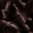 Garnier Olia Ammonia Free Permanent Hair Color 3.23