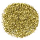 NYX Professional Makeup Face & Body Glitter (2,5g) Gold