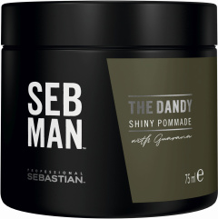Sebastian Professional SebMan The Dandy Shiny Pommade (75mL)
