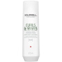 Goldwell DS Curls & Waves Hydrating Shampoo (250mL)