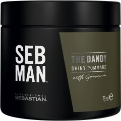 Sebastian Professional SebMan The Dandy Shiny Pommade (75mL)