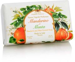 Fiorentino Soap Incontri Mandarin Ja Mint (250g)