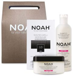 NOAH Gift Set Color Protective Shampoo & Hair Mask + Standard Hair Color 1