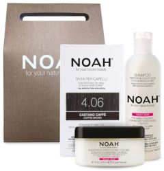 NOAH Gift Set Color Protective Shampoo & Hair Mask + Standard Hair Color 4.06