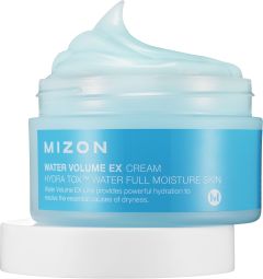 Mizon Water Volume EX First Cream (100mL)