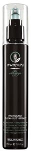 Paul Mitchell AWG Hydromist Blow-Out Spray (150mL)