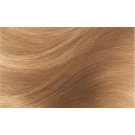 L'Oreal Paris Excellence Creme Permanent Hair Colour with Triple Protection 8 Light Blonde