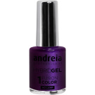 Andreia Professional Hybrid Gel - Fusion Color (10,5mL) H29