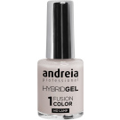 Andreia Professional Hybrid Gel - Fusion Color (10,5mL) H6