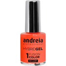 Andreia Professional Hybrid Gel - Fusion Color (10,5mL) H60