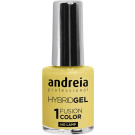 Andreia Professional Hybrid Gel - Fusion Color (10,5mL) H59
