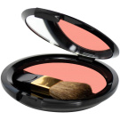 Layla Cosmetics Top Cover Compact Blush 006